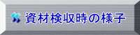 ���ތ������̗l�q 